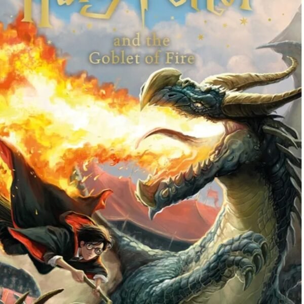 Harry potter 4 ” Goblet of fix “