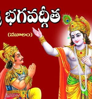 Bagavadgeeta Moolam (Sada)